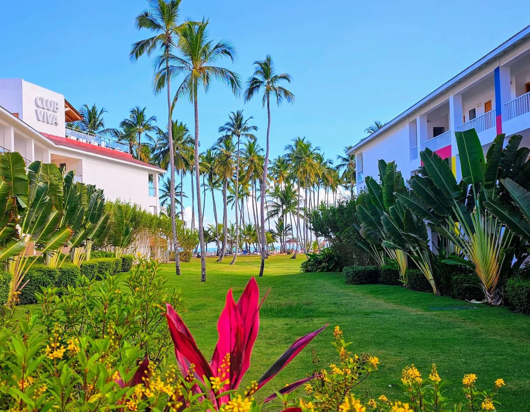 Viva V Samaná by Wyndham