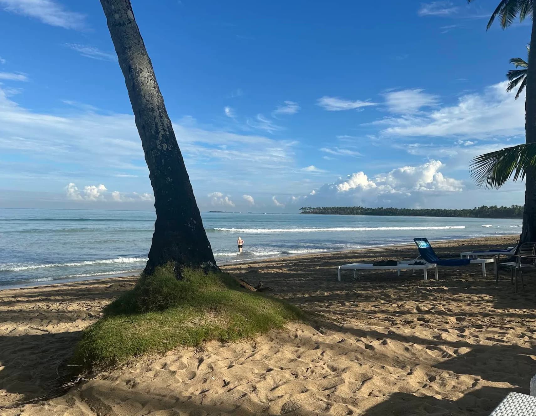 Viva V Samaná by Wyndham — foto 2