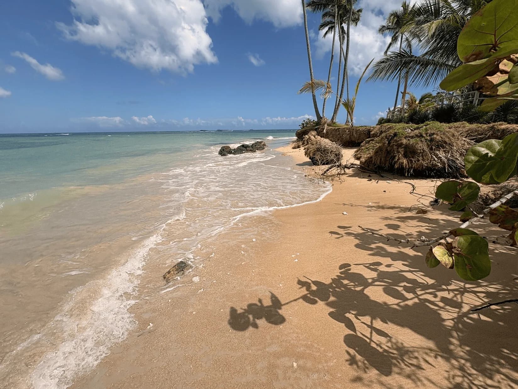 Viva V Samaná by Wyndham — foto 5